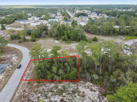 1315 Homosassa Court Kissimmee FL 34759
