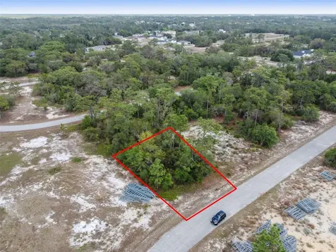 1315 Homosassa Court Kissimmee FL 34759