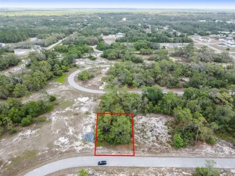 1315 Homosassa Court Kissimmee FL 34759