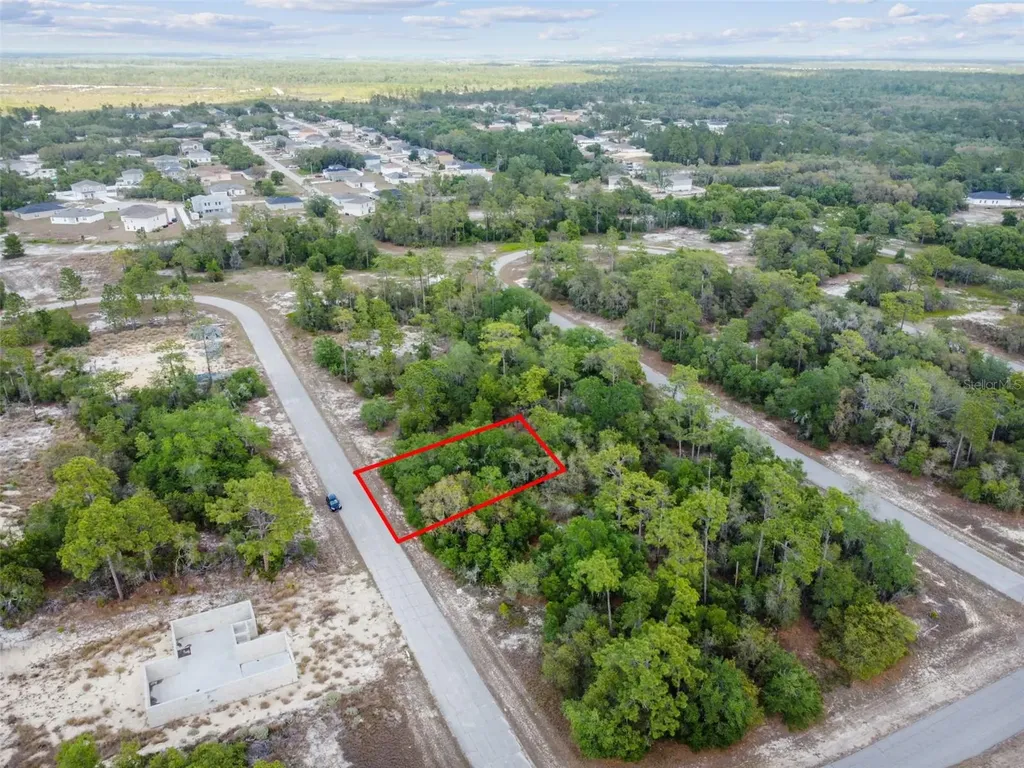 1305 Homosassa Court Kissimmee FL 34759