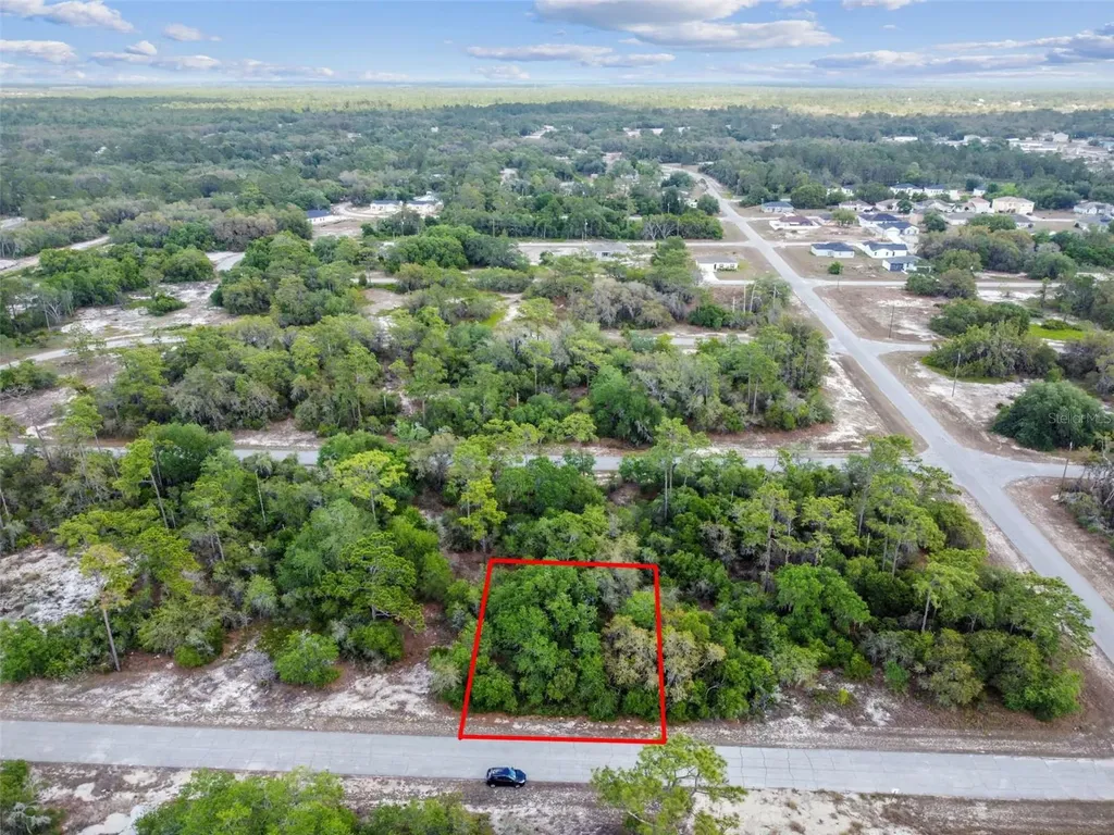 1305 Homosassa Court Kissimmee FL 34759