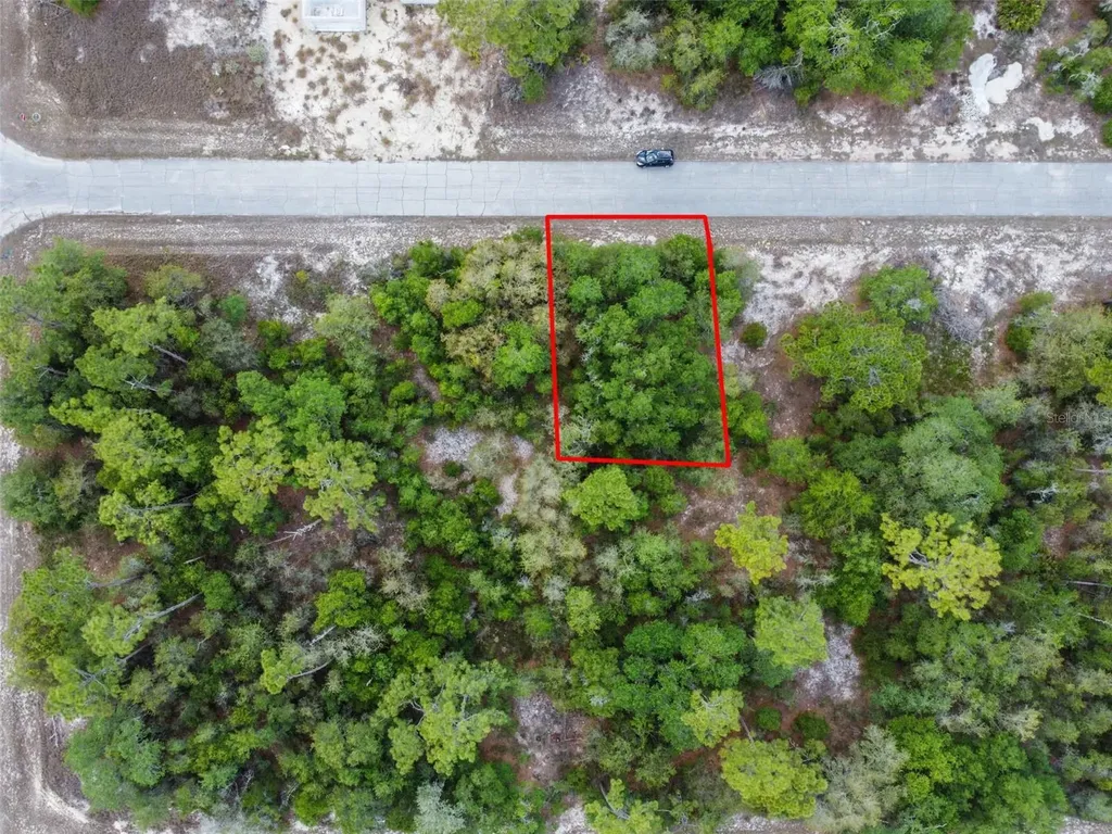 1305 Homosassa Court Kissimmee FL 34759