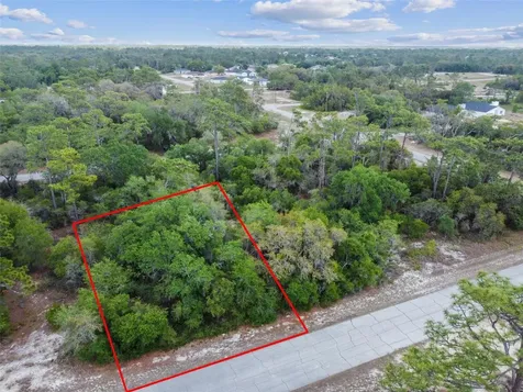 1305 Homosassa Court Kissimmee FL 34759
