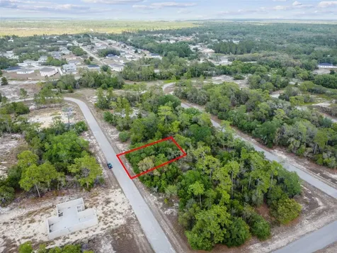 1305 Homosassa Court Kissimmee FL 34759
