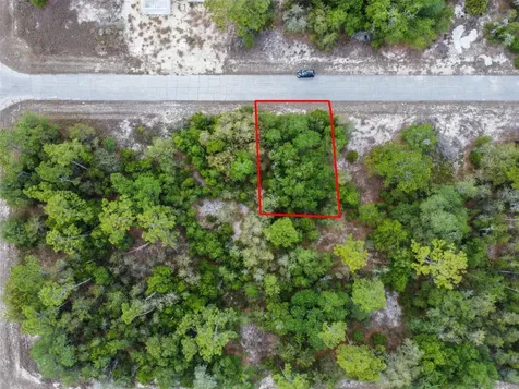 1305 Homosassa Court Kissimmee FL 34759