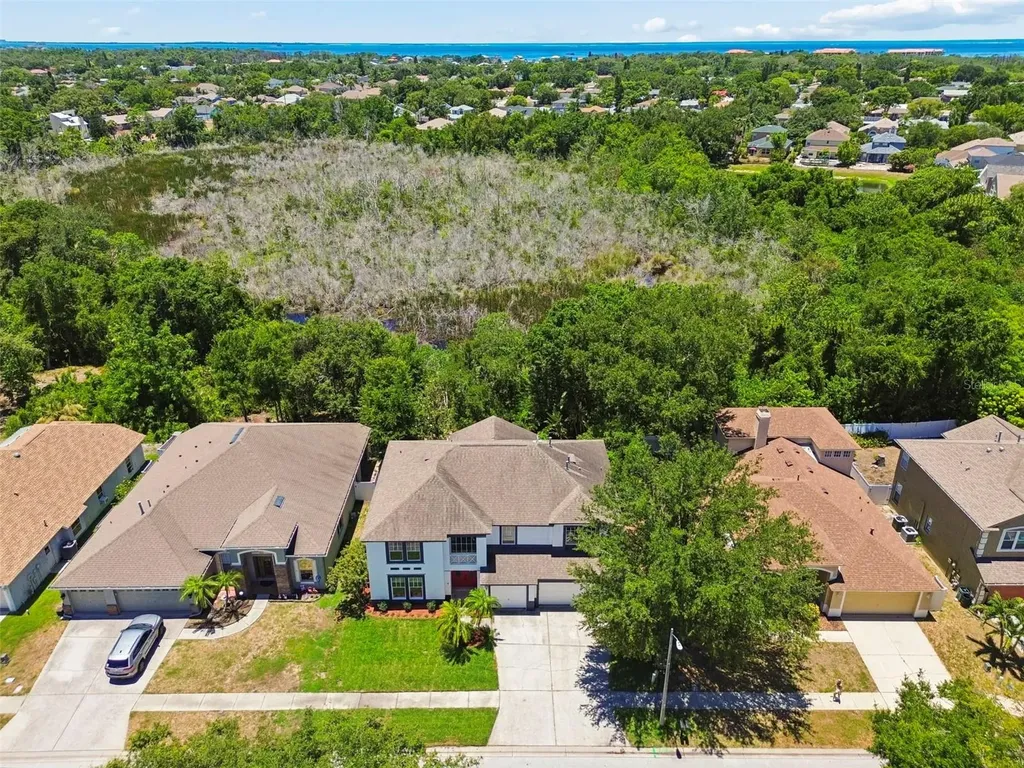 1828 Longview Lane Tarpon Springs FL 34689