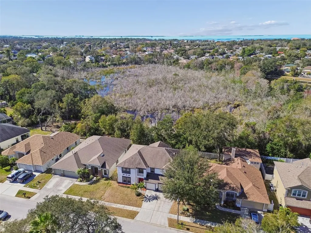 1828 Longview Lane Tarpon Springs FL 34689
