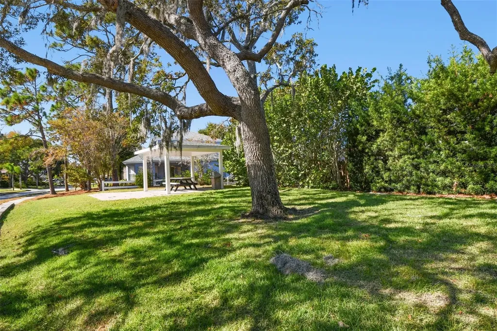 1828 Longview Lane Tarpon Springs FL 34689