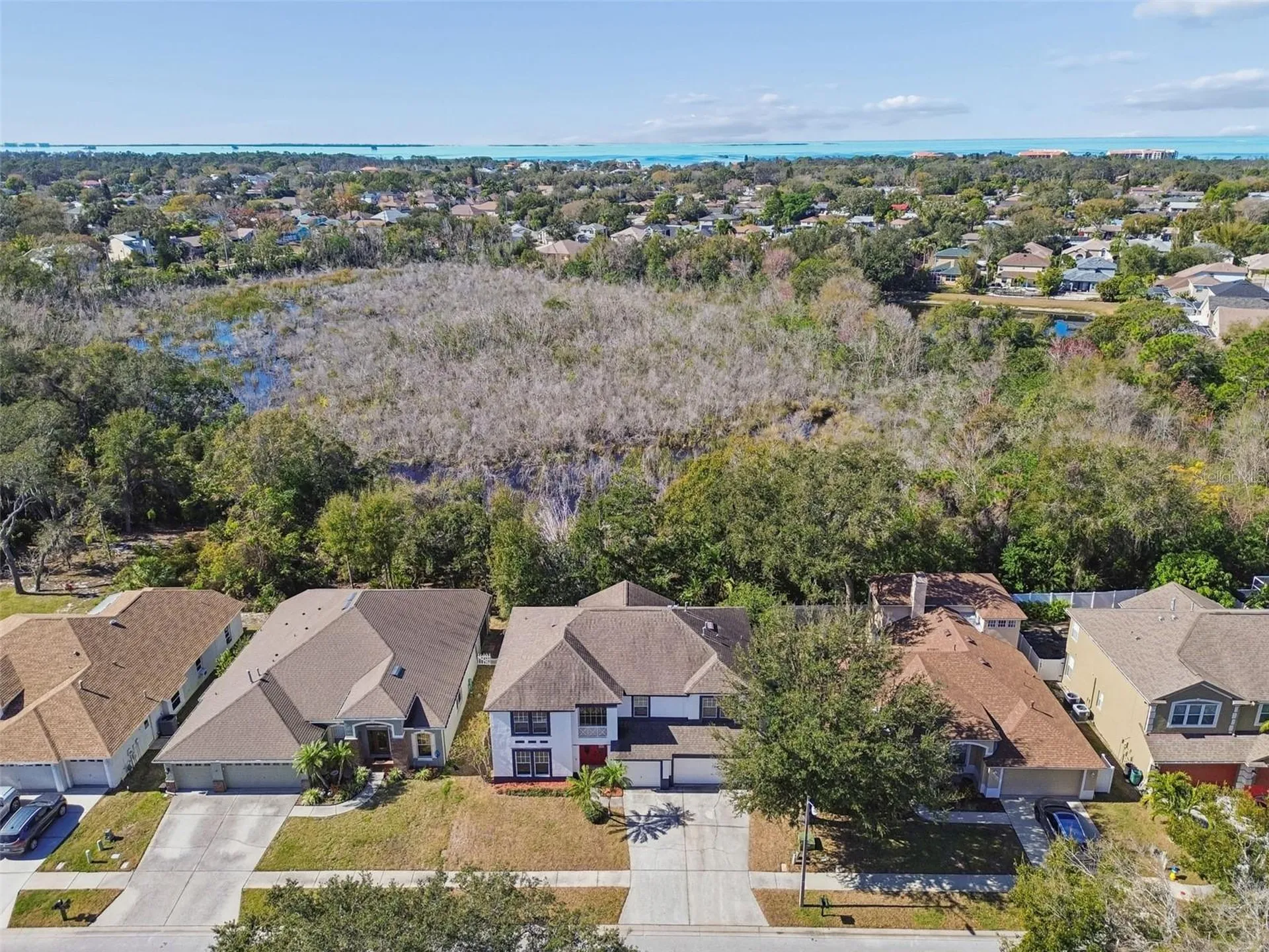 1828 Longview Lane Tarpon Springs FL 34689