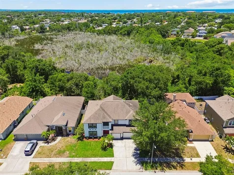 1828 Longview Lane Tarpon Springs FL 34689