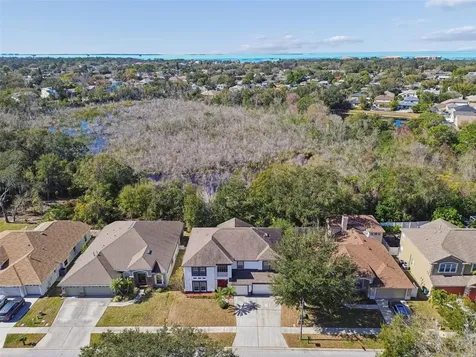 1828 Longview Lane Tarpon Springs FL 34689
