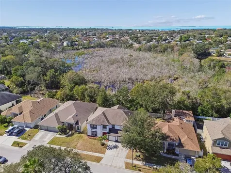 1828 Longview Lane Tarpon Springs FL 34689