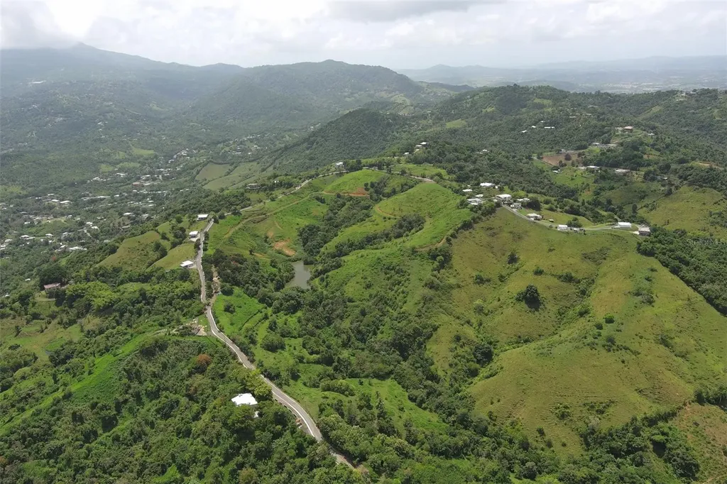 Finca Morales Bo. Barrazas Carolina PR 00987