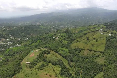 Finca Morales Bo. Barrazas Carolina PR 00987