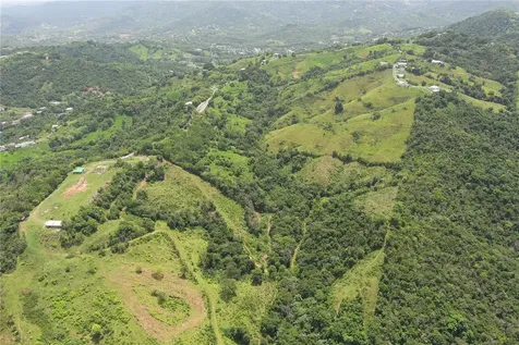 Finca Morales Bo. Barrazas Carolina PR 00987