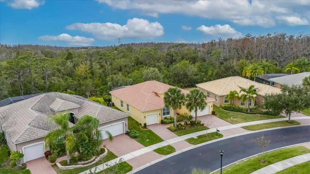 16227 Diamond Bay Drive Wimauma FL 33598