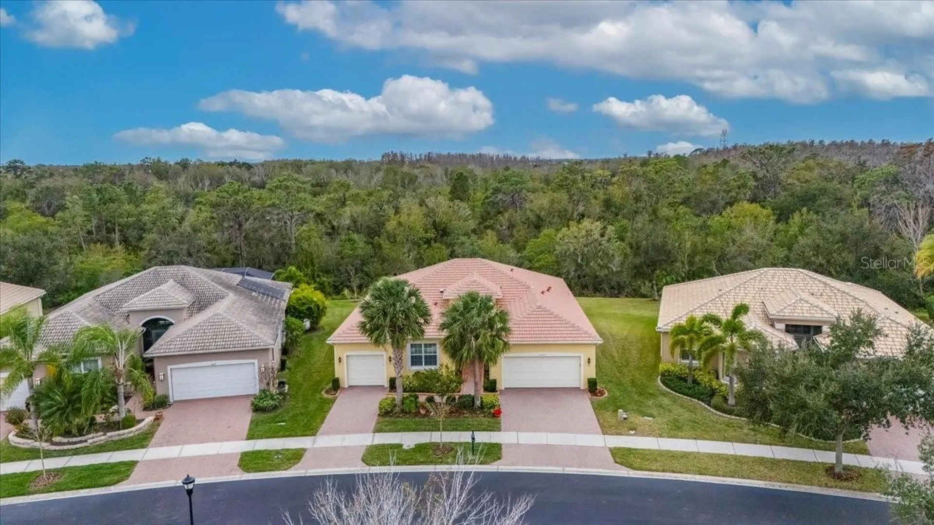 16227 Diamond Bay Drive Wimauma FL 33598