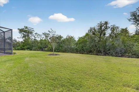 16227 Diamond Bay Drive Wimauma FL 33598