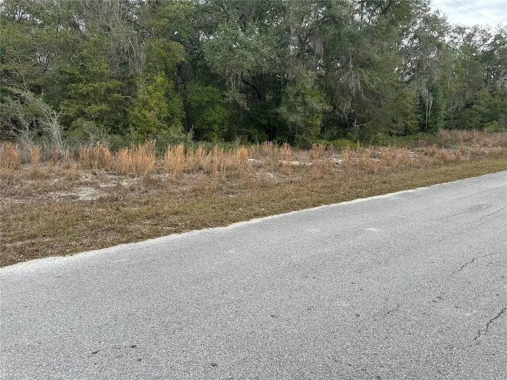 SW Shorewood Drive Dunnellon FL 34431