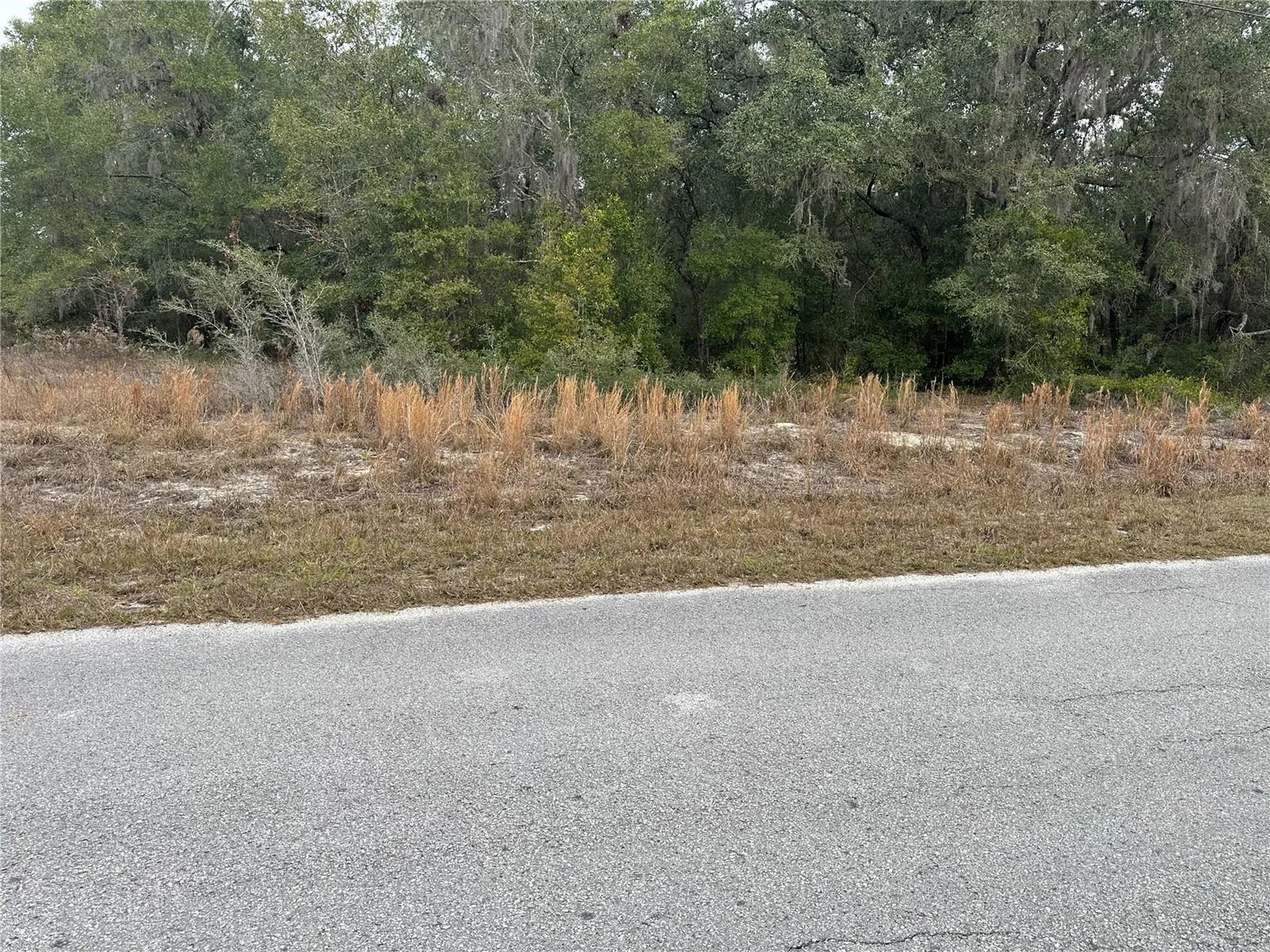 SW Shorewood Drive Dunnellon FL 34431