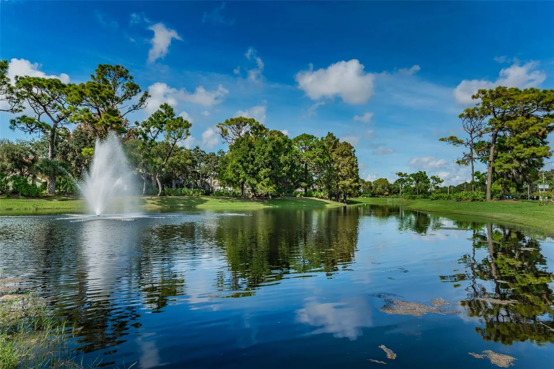 8871 Silverthorn Road Seminole FL 33777