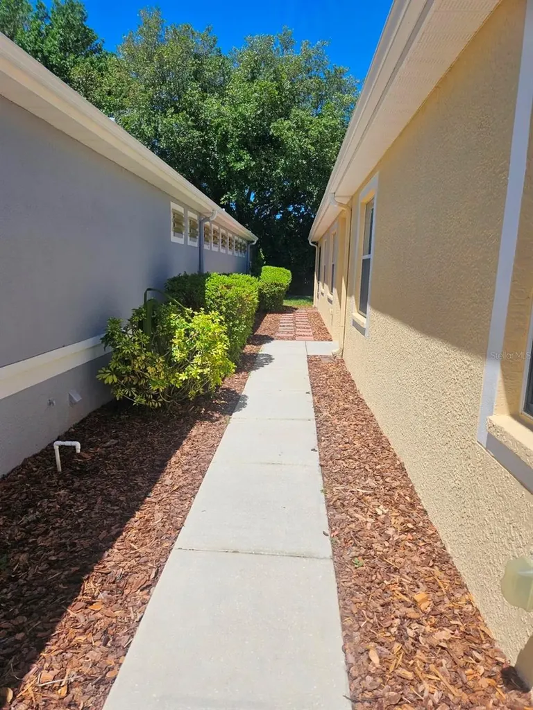 8049 Sanguinelli Road Land O Lakes FL 34637