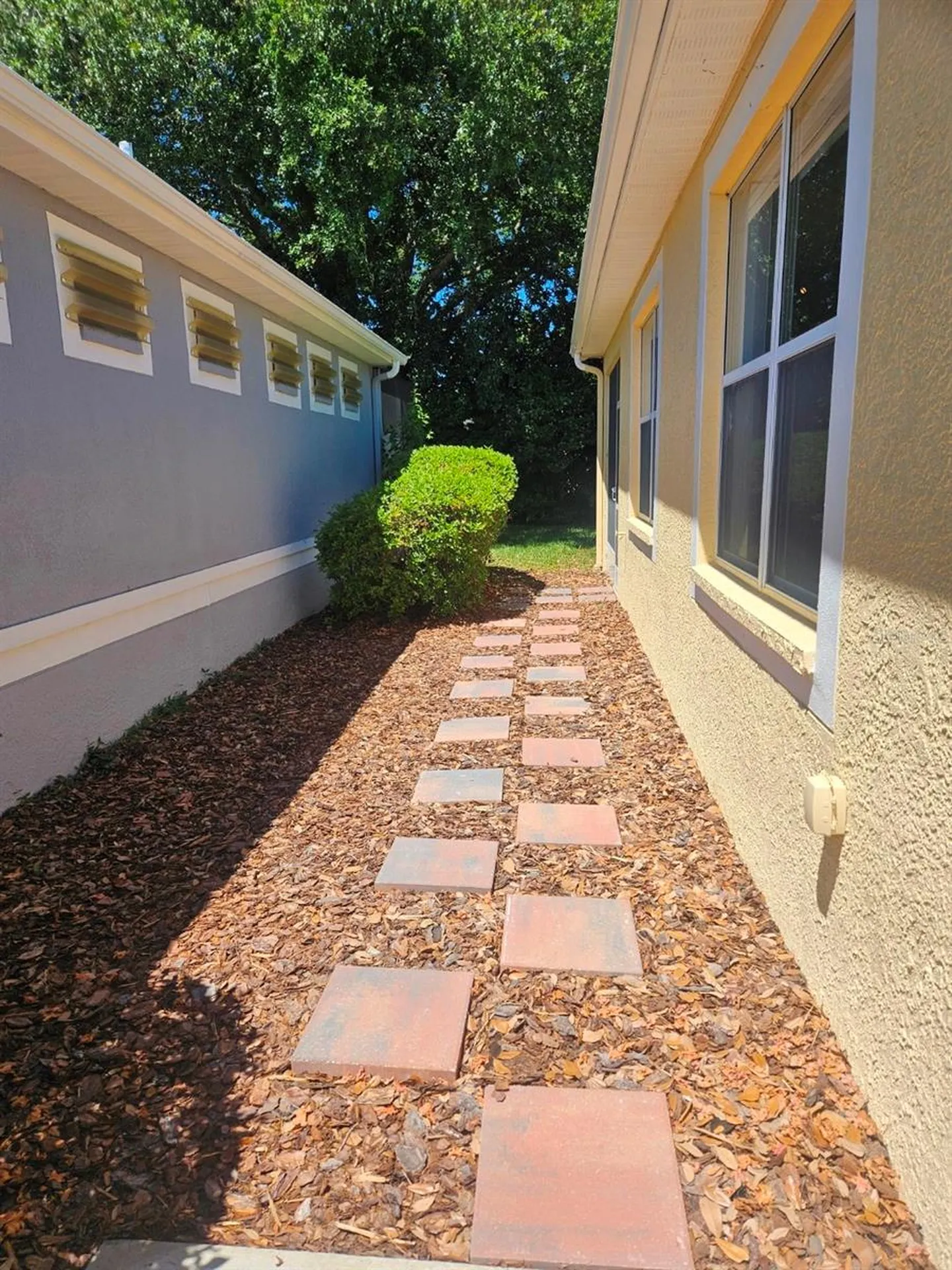 8049 Sanguinelli Road Land O Lakes FL 34637