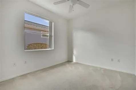 8049 Sanguinelli Road Land O Lakes FL 34637