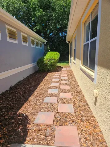 8049 Sanguinelli Road Land O Lakes FL 34637