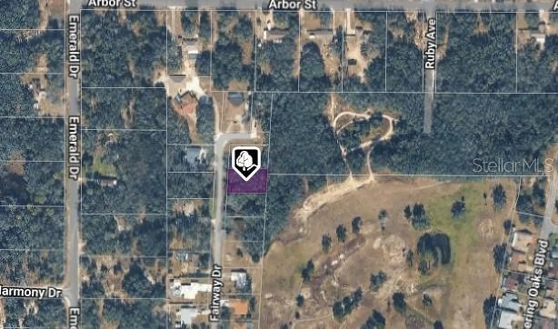 6176 Fairway Drive Ridge Manor FL 33523