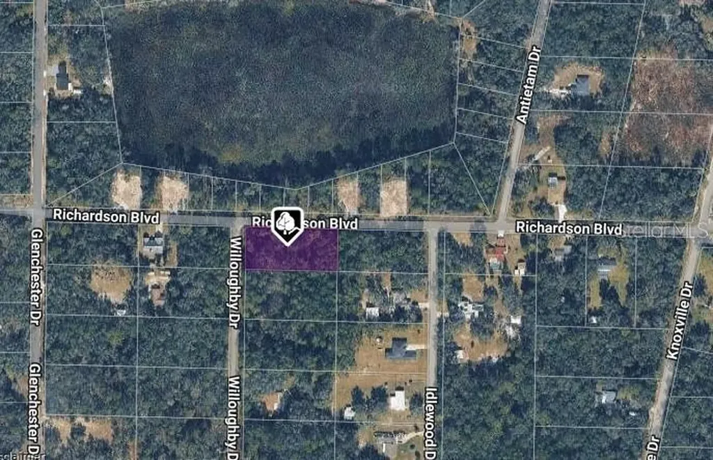7374 Willoughby Drive Webster FL 33597