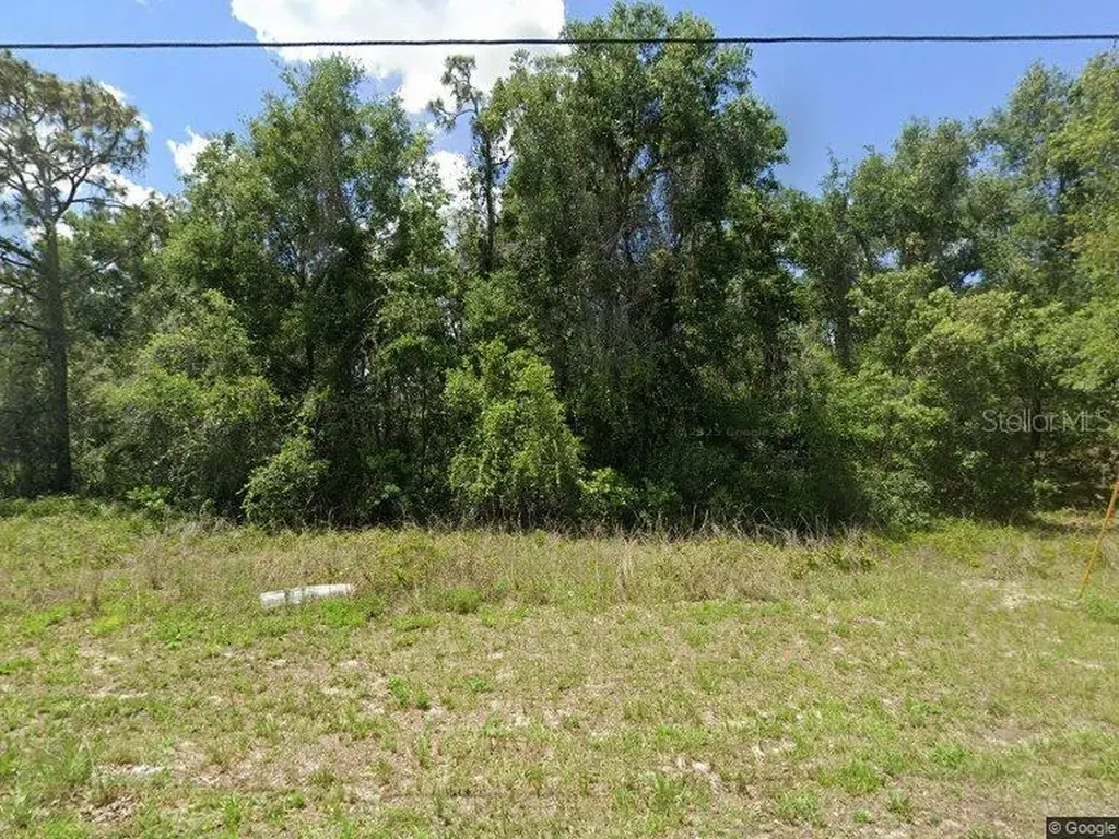 Idle A While Circle Dade City FL 33523