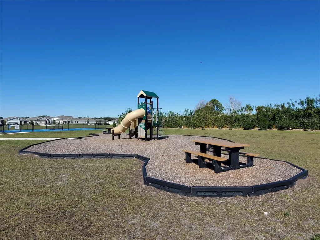 2994 Gavin Sky Drive Kissimmee FL 34744