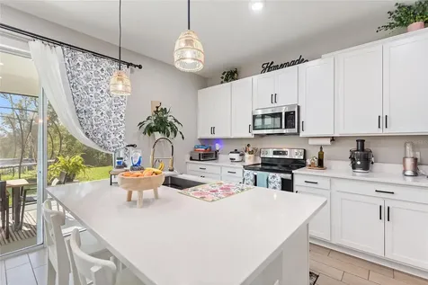 2994 Gavin Sky Drive Kissimmee FL 34744