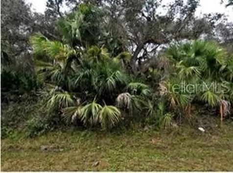 Ocarina Road North Port FL 34291