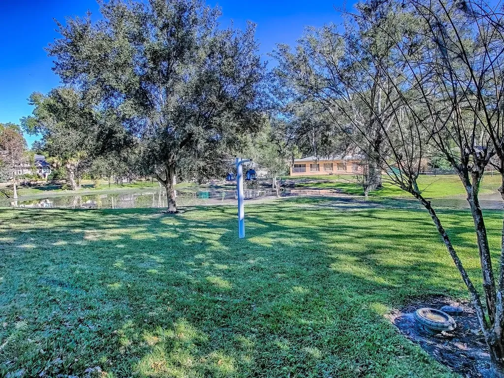 2314 Hillside Drive Mount Dora FL 32757