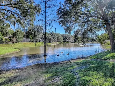 2314 Hillside Drive Mount Dora FL 32757