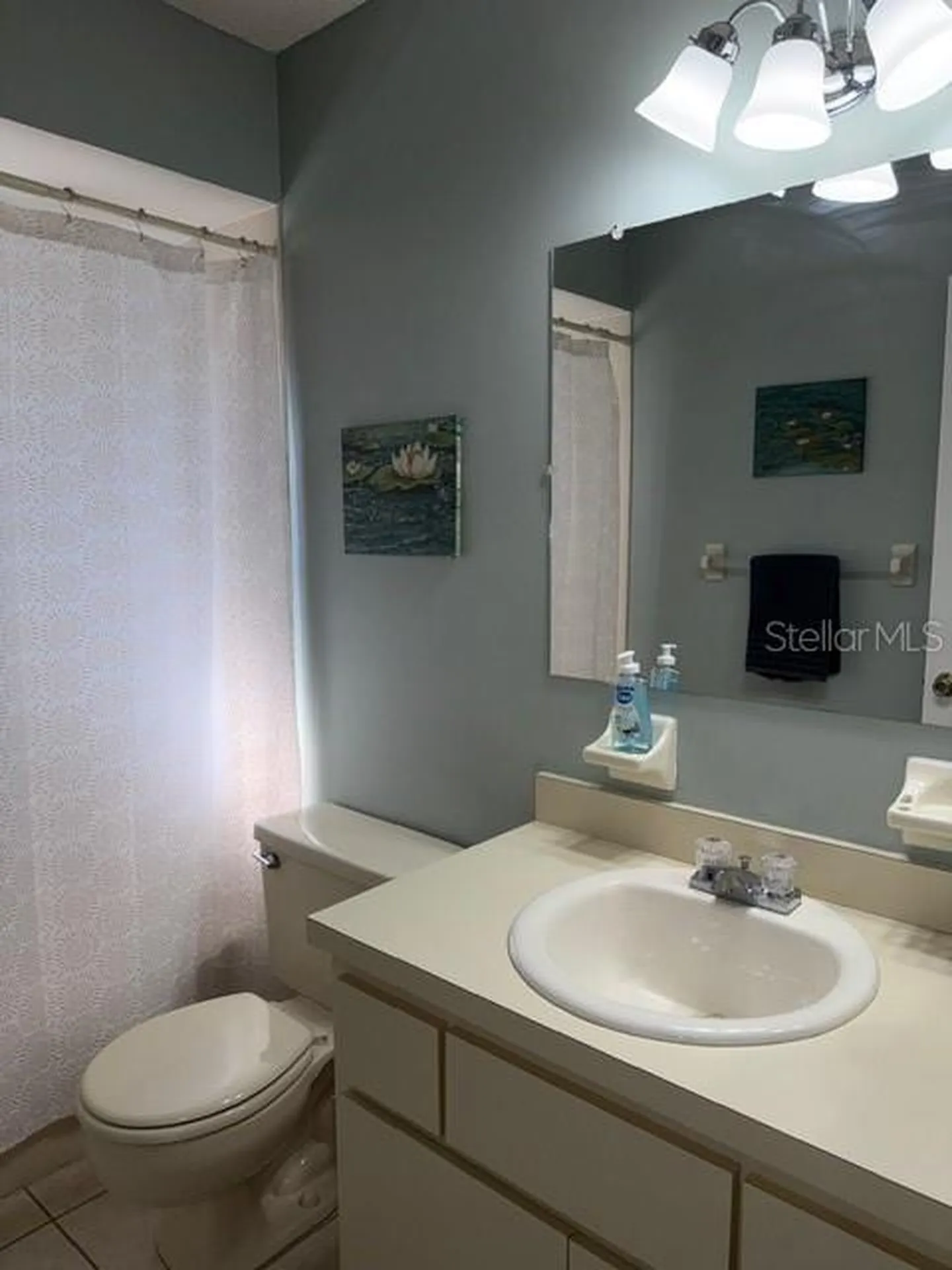 10740 SW 62nd Avenue Road Ocala FL 34476