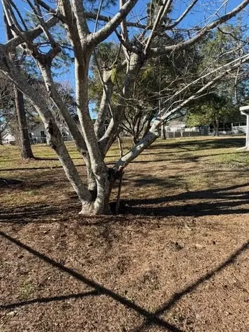 10740 SW 62nd Avenue Road Ocala FL 34476