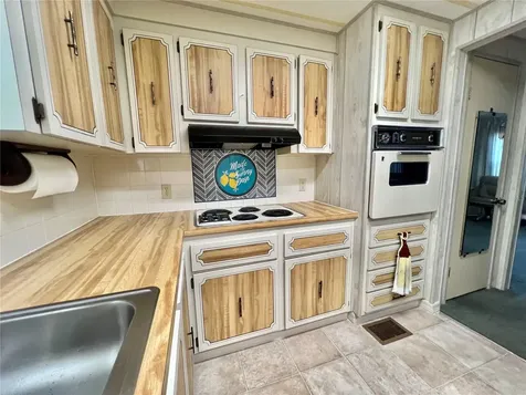 180 Hibiscus Way Leesburg FL 34748