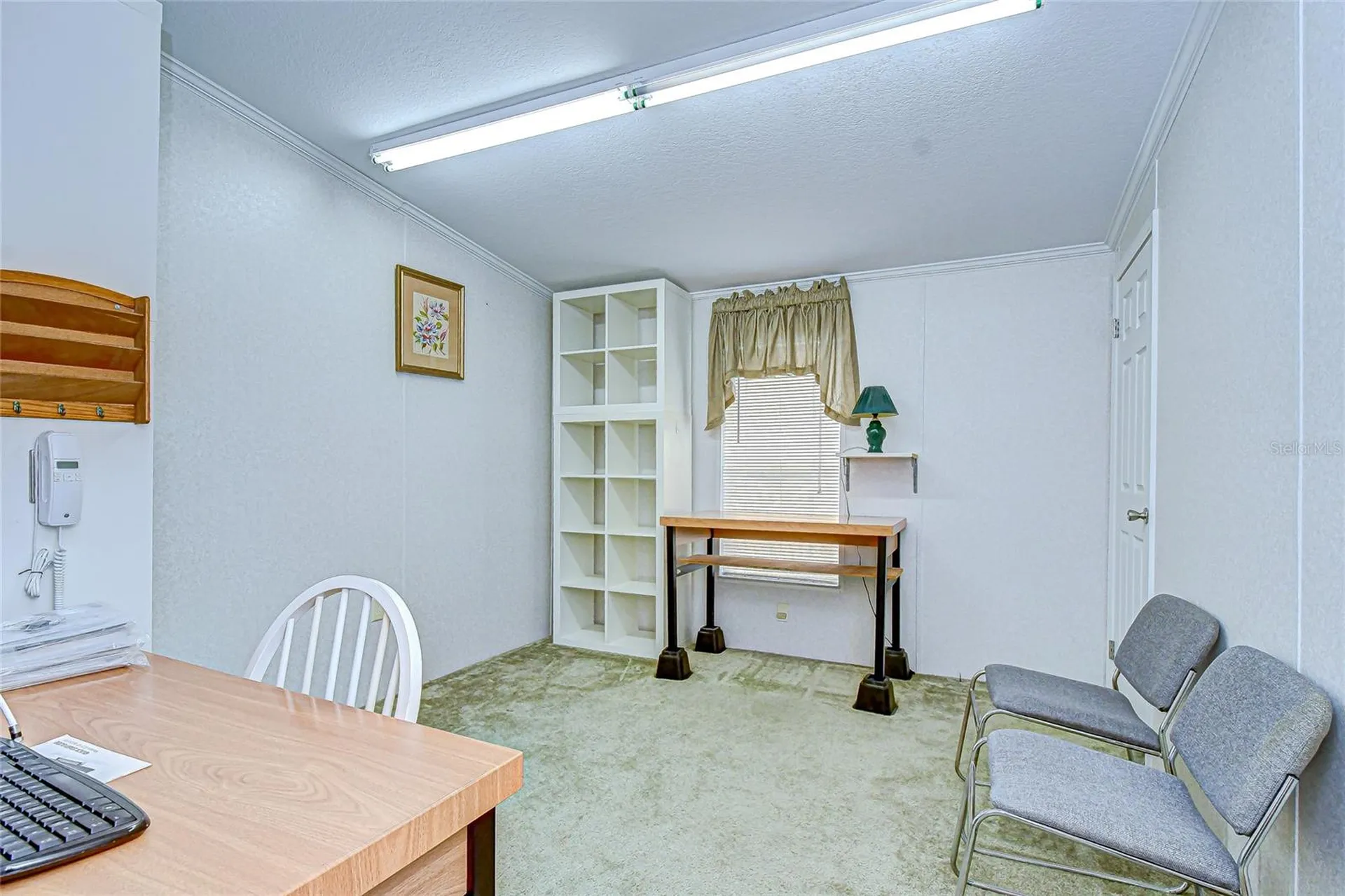 3337 Dawns Dell Zephyrhills FL 33541