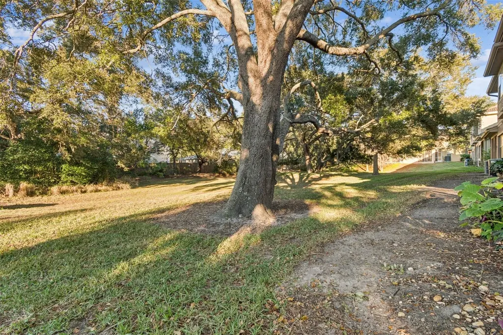 1604 Fieldfare Court Dunedin FL 34698