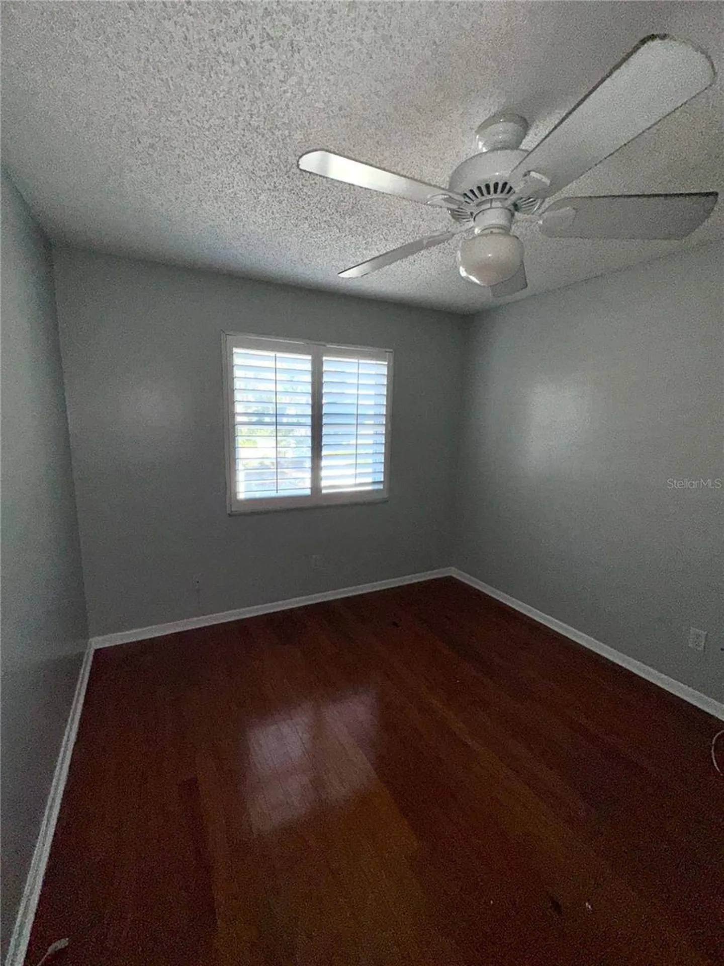 3109 W Horatio Street Tampa FL 33609