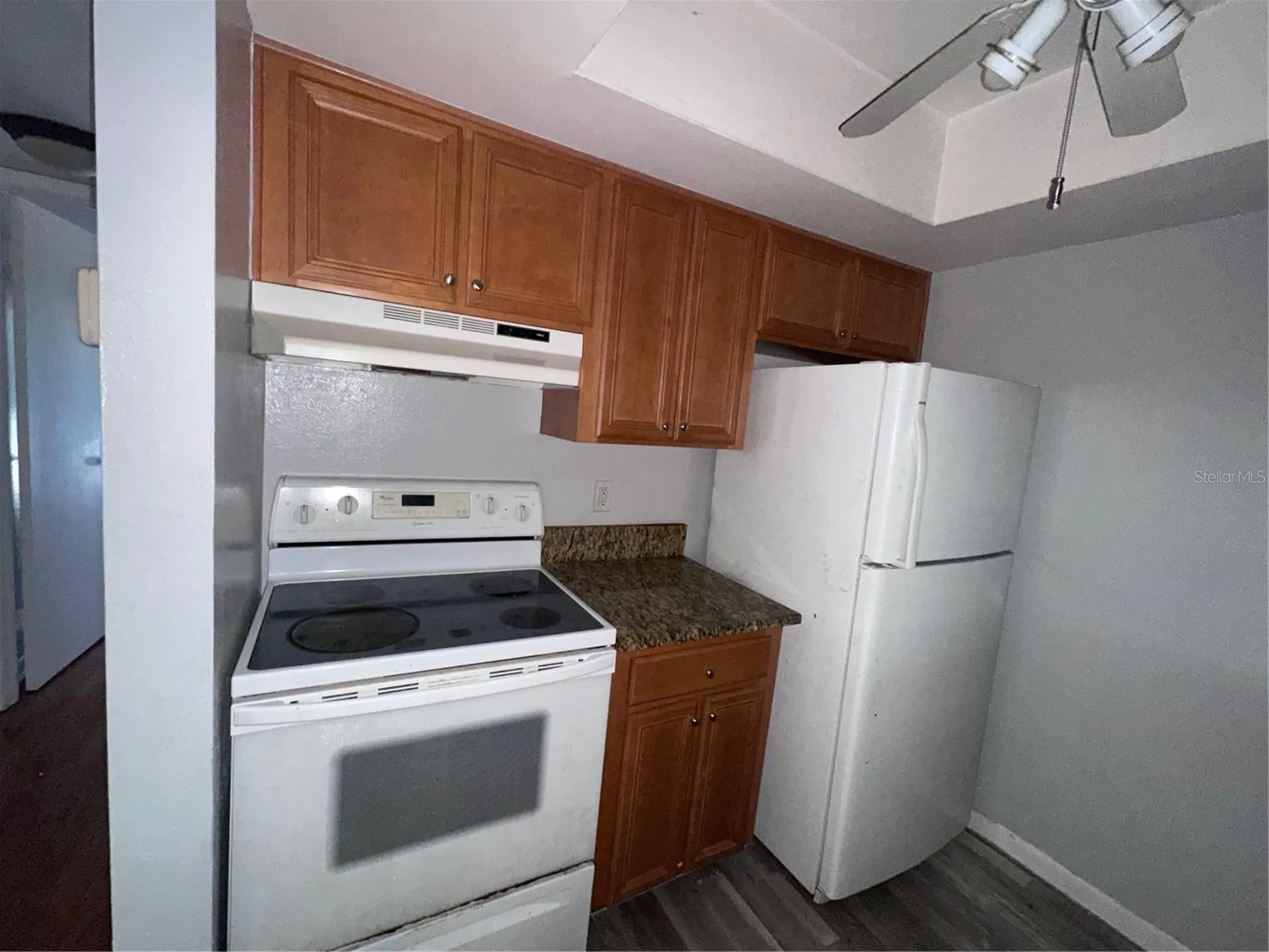 3109 W Horatio Street Tampa FL 33609