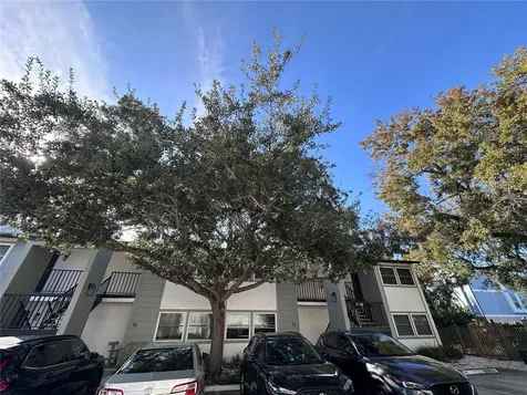 3109 W Horatio Street Tampa FL 33609