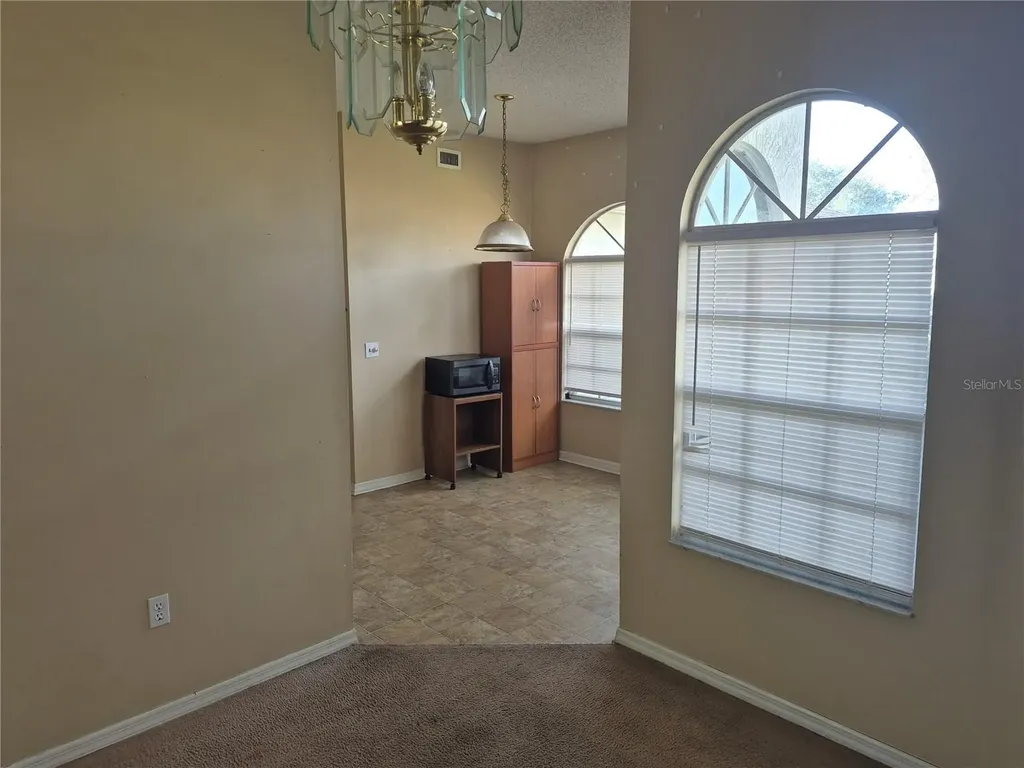 23300 Dover Drive Land O Lakes FL 34639