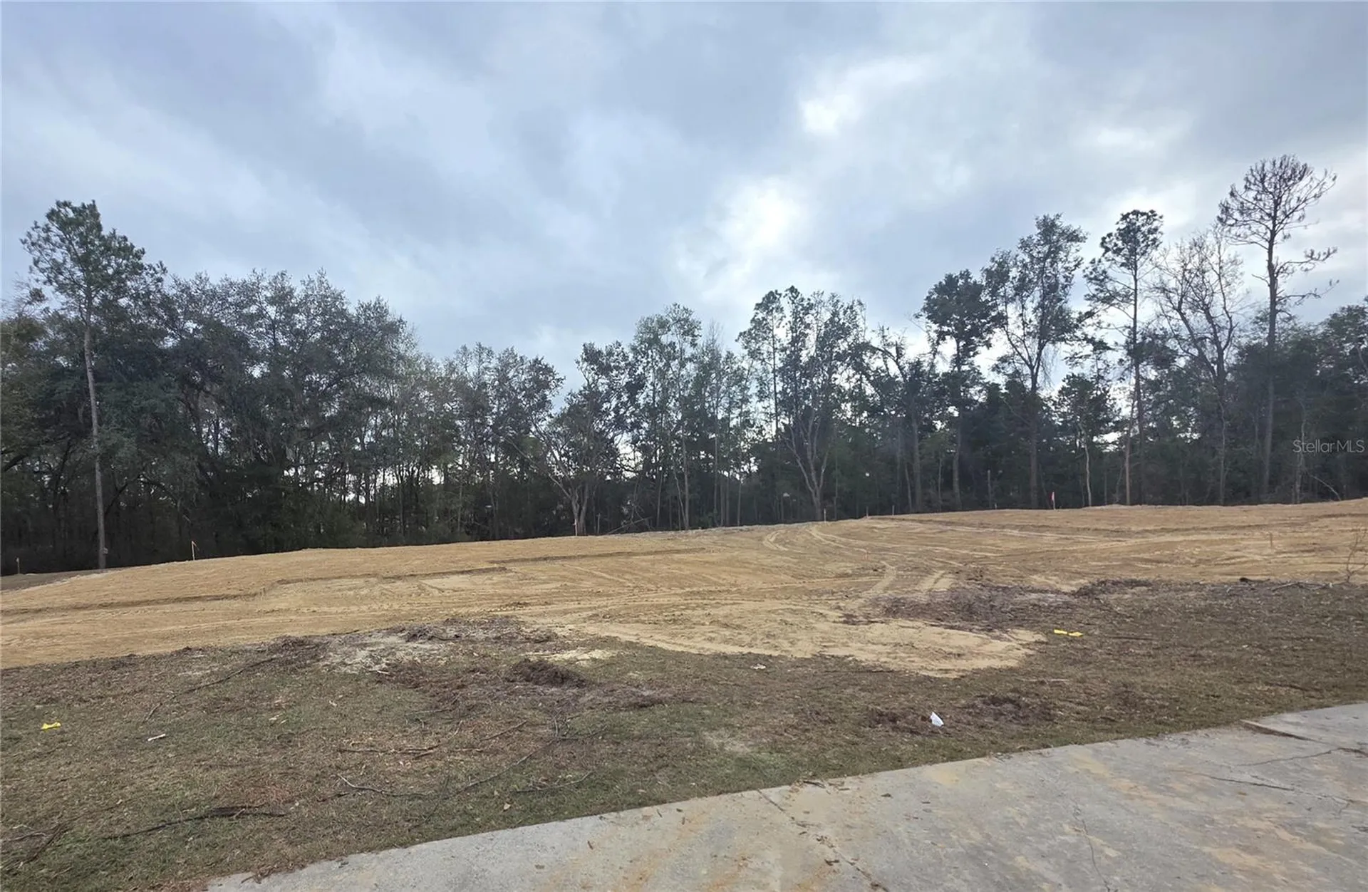 581 SW Bellflower Drive Lake City FL 32024