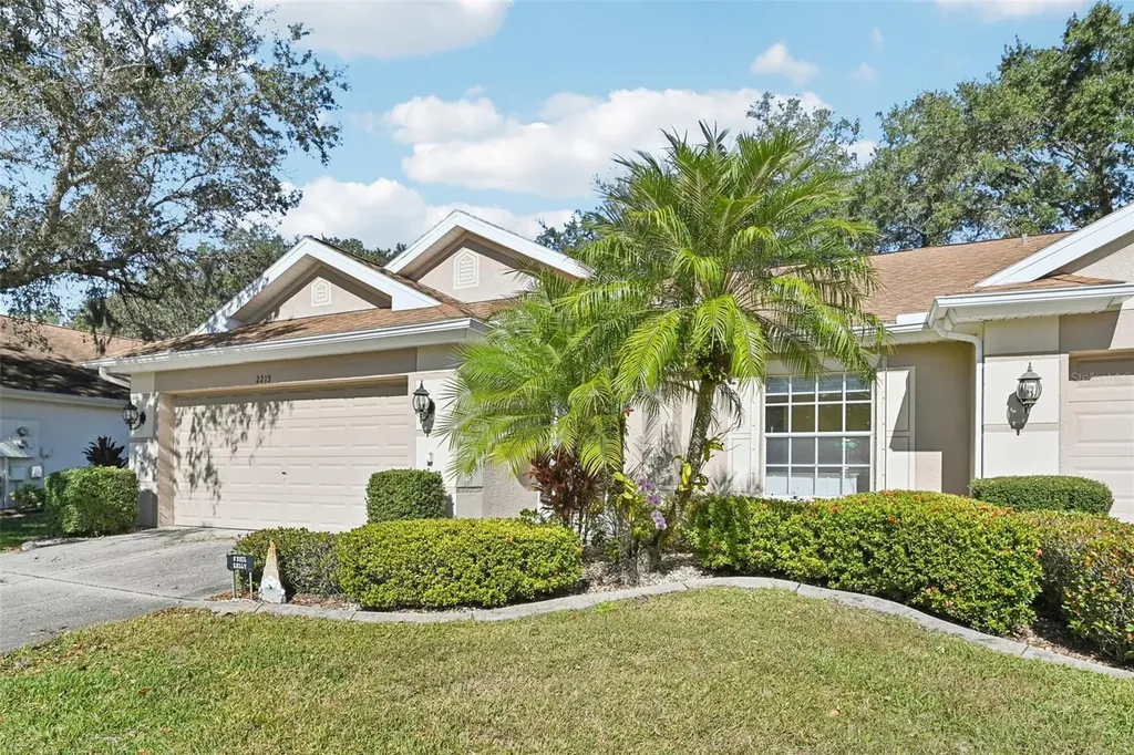 2215 Olive Branch Drive Sun City Center FL 33573