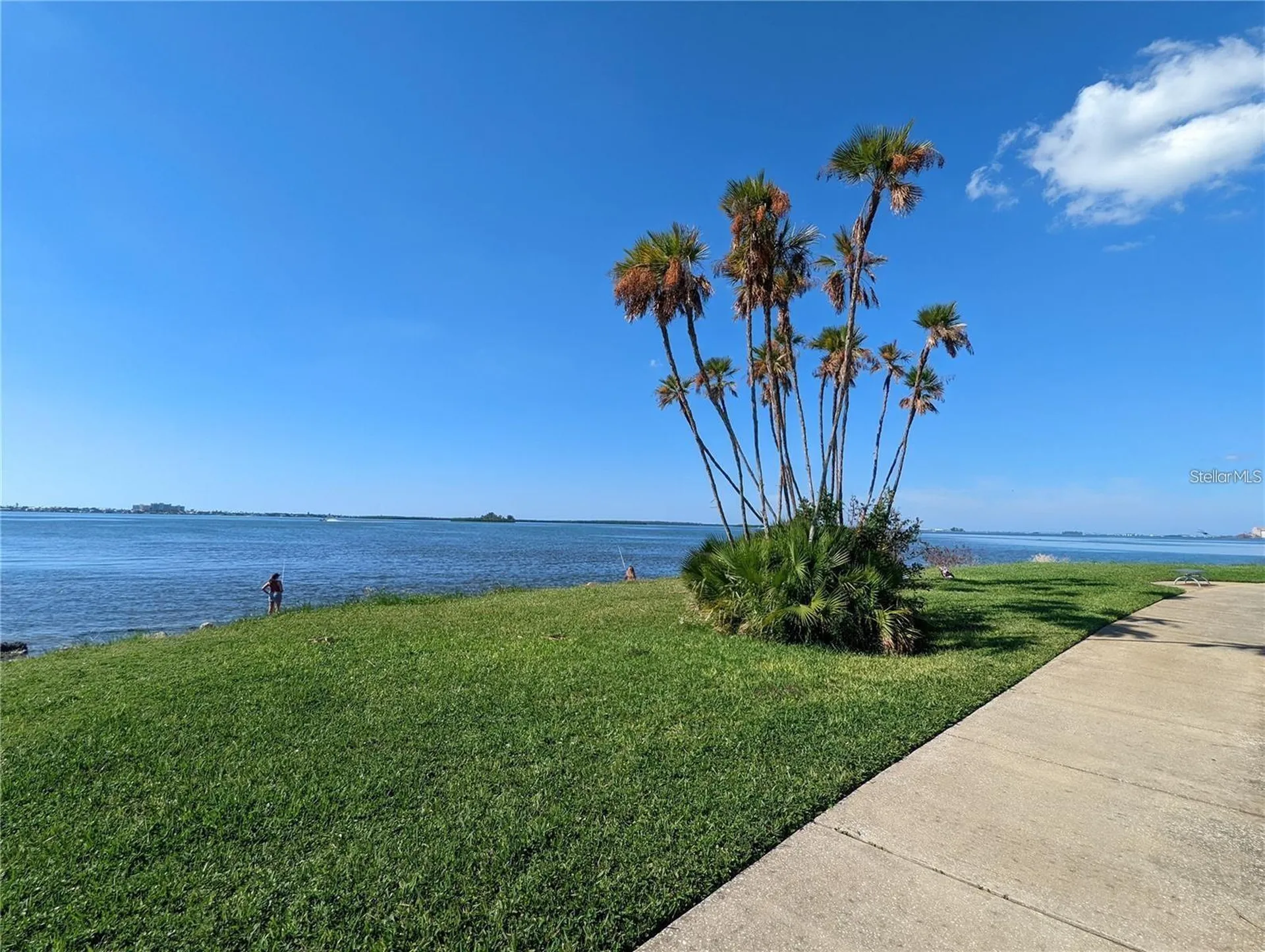 1922 Springtime Avenue Clearwater FL 33755