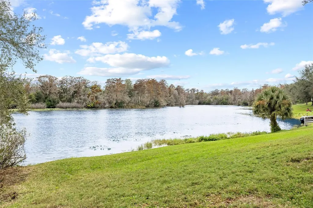 7467 Terrace River Drive Temple Terrace FL 33637